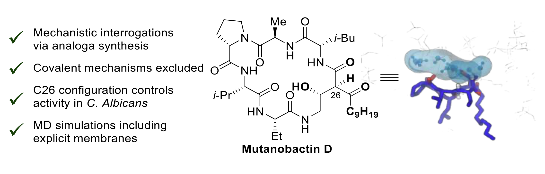 TOC for Mutanobactin D (2025)